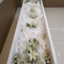 동안산병원 이미지