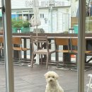 송정중앙로 20 이미지