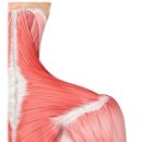 비경휘트니스 이미지