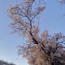 여의서로1길 이미지