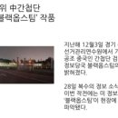 팀스카이