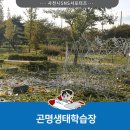 곤명생태학습장 이미지