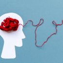 팀메디칼 이미지