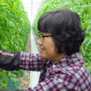 사매면 인화마을 이미지