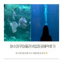 마미캣 | 여수가볼만한곳 ❣️ 아쿠아플라넷 여수 오션라이프 포토스팟 🐠 메인수조 친구들 식사시간 ( 주차팁과...