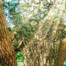 송림약국 이미지