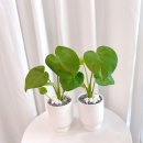 사림동136 이미지