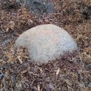 무지내동 태봉 이미지