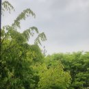 행복마을 로또복권 이미지