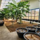 돌속농장 이미지