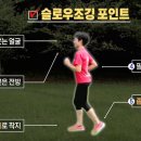 슬로우 - 서귀포시 일주동로 7137 | 슬로우
