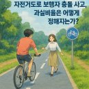 보행자전용도로 1-35 | 자전거도로 보행자 사고, 과실비율은 어떻게 정해지는가?