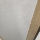 대구 디아망 벽지 내돈내산 후기(with. 중앙장식)