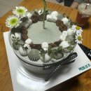 백쌀공주 | 구월동 디저트 카페 쌀케이크 맛집 생일 홀케이크 주문 후기 “백쌀공주”