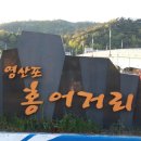 영산포홍어거리 이미지