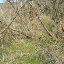 송림 태양광발전소 이미지