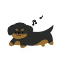 톰과제니 동물메디컬센터 이미지