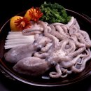 와이메딕스(Ymedics) 이미지