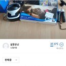 소피아꽃방