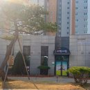 시립산내어린이집 이미지