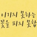 우리태권도 이미지