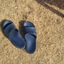 퍼피빌리티 이미지