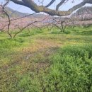 재민농장 이미지