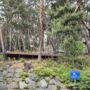 엔젤리너스 진주금호못점 이미지