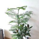 옥천(부산) 이미지