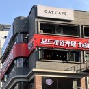세븐일레븐 테헤란로점 | [강남역_고양이 카페] 고양이와 함께 여유로운 시간, 데이트 코스로도 딱인 &#39;모카 고양이 카페&#39; 방문 후기