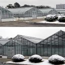 국립종자관리소 이미지