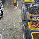 영일상회 | 내돈내산 부산 광안리 민락회센터 추천 포항 영일상회