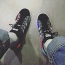 신스타 Daum카페