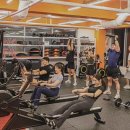 피버 플레이스(국민 피티) 이미지