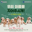 육군 군견훈련소 2군견지원대 | 개판 난 관세청의 슬기로운 탐지견 생활 : 2020 정부혁신박람회 온라인 참여 후기