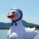 낙동강오리알 이미지