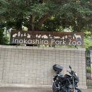 Inokashira Park zoo 이미지