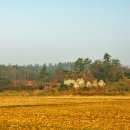 율곡농장 이미지