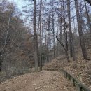 두개비산산림욕장 네이버블로그
