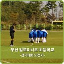 부산알로이시오초등학교 이미지