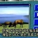 골드반드