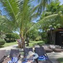 바른치킨철원동송점 | [맞춰주는 세부여행] 세부 제이파크리조트 물놀이 아쿠아로빅 아이와 함께 즐겨요!