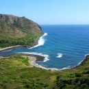 파라다이스 이미지