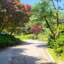 (주)더청화 이미지