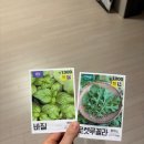 금빛찹쌀꽈배기 이미지