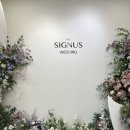 한국지엠광주서구바로서비스 | 🕊️ w3. 광주 더시그너스 웨딩홀 27년 견적 공유(+계약 후기) ⭐️