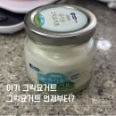 그릭요거트팩토리 | 아기 그릭요거트 언제부터? 아기 그릭요거트 추천