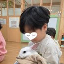 장천초등학교 병설유치원 이미지