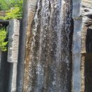 미스터트롯3 공식 카페에 응원글 남겼어요! 이미지