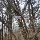 신덕리 ~ 인지리 이미지